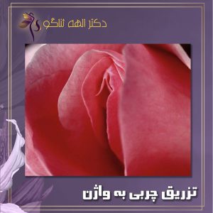 تزریق چربی به لابیا همراه با فیلم + دکتر الهه ثناگو در تهران