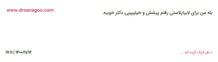بهترین دکتر لابیاپلاستی در تهران + دکتر الهه ثناگو