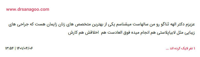 بهترین دکتر لابیاپلاستی در تهران + دکتر الهه ثناگو